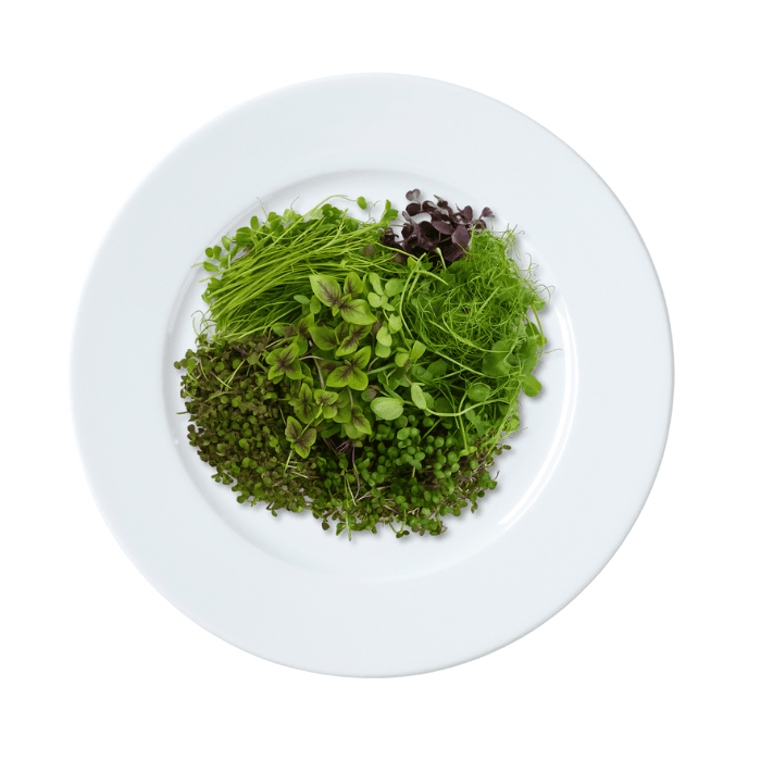 Garnish Mix de Microgreens (Envase Grande)