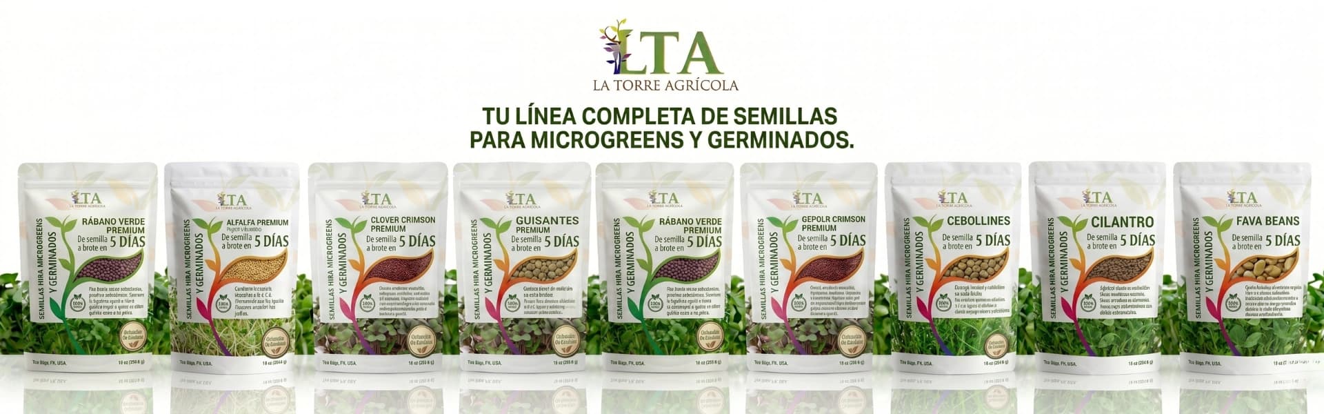 Semillas para germinacion