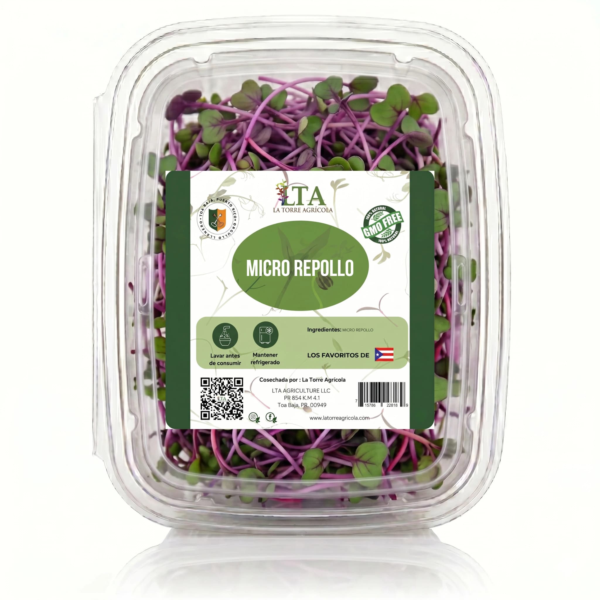Micro Repollo Morado (Purple Cabbage)