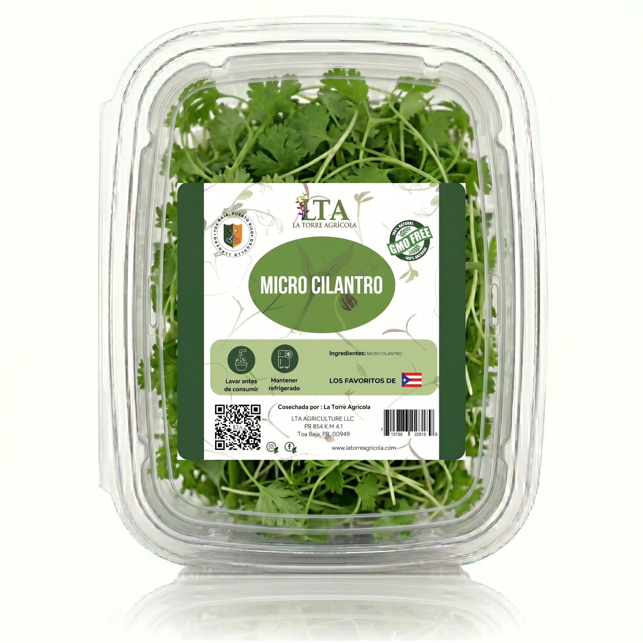 Micro Cilantro