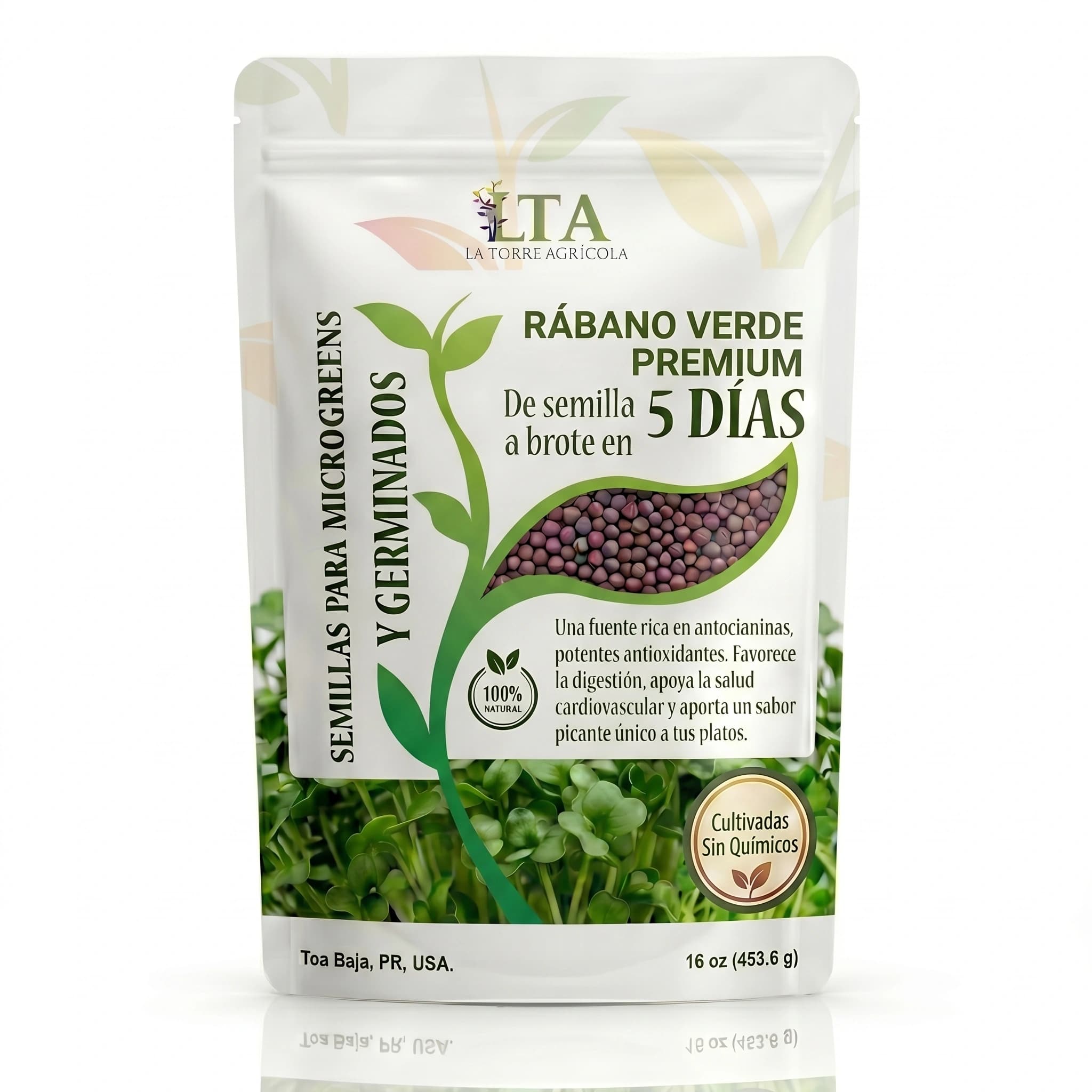 Rábano Verde Premium