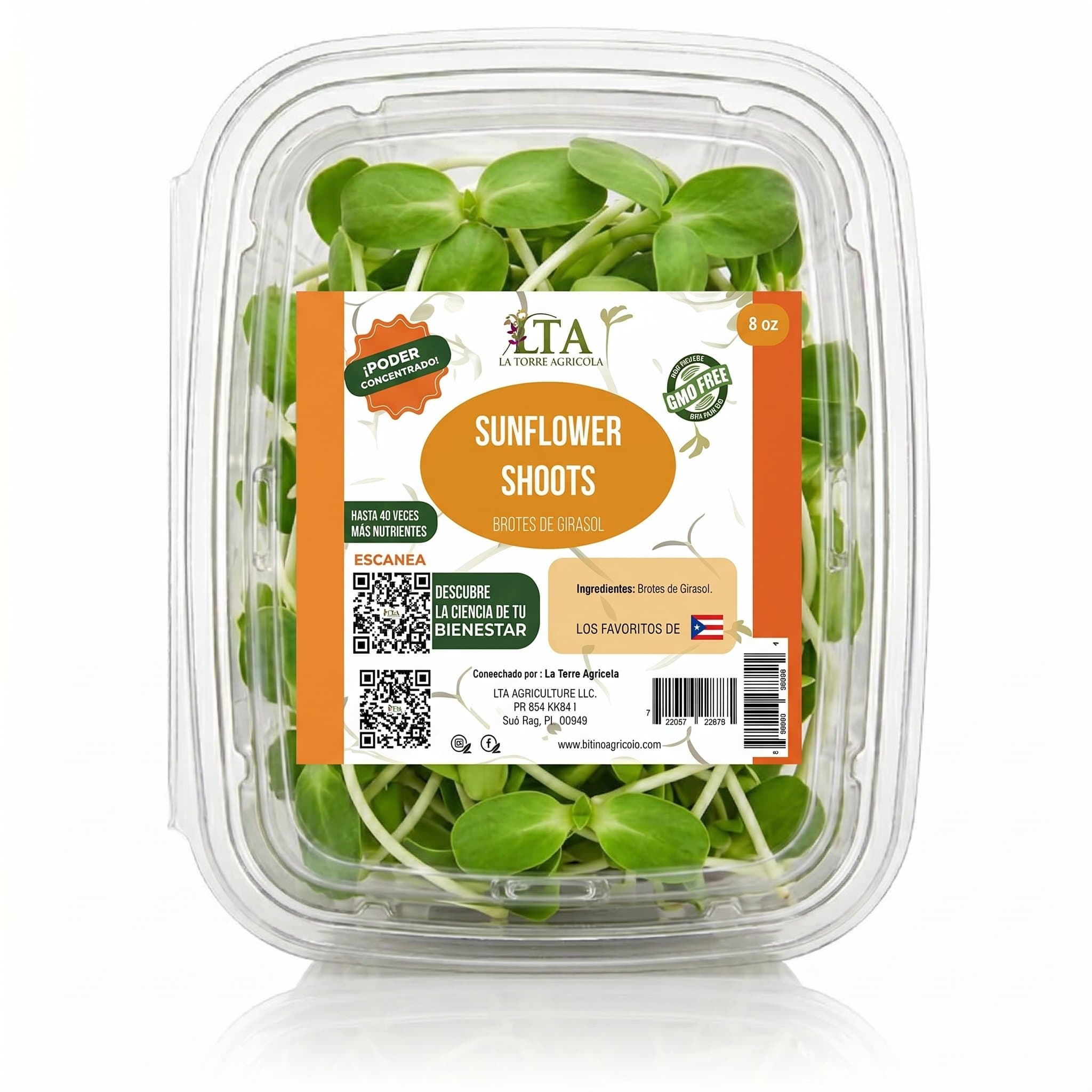 Brotes de Girasol (Sunflower Shoots)