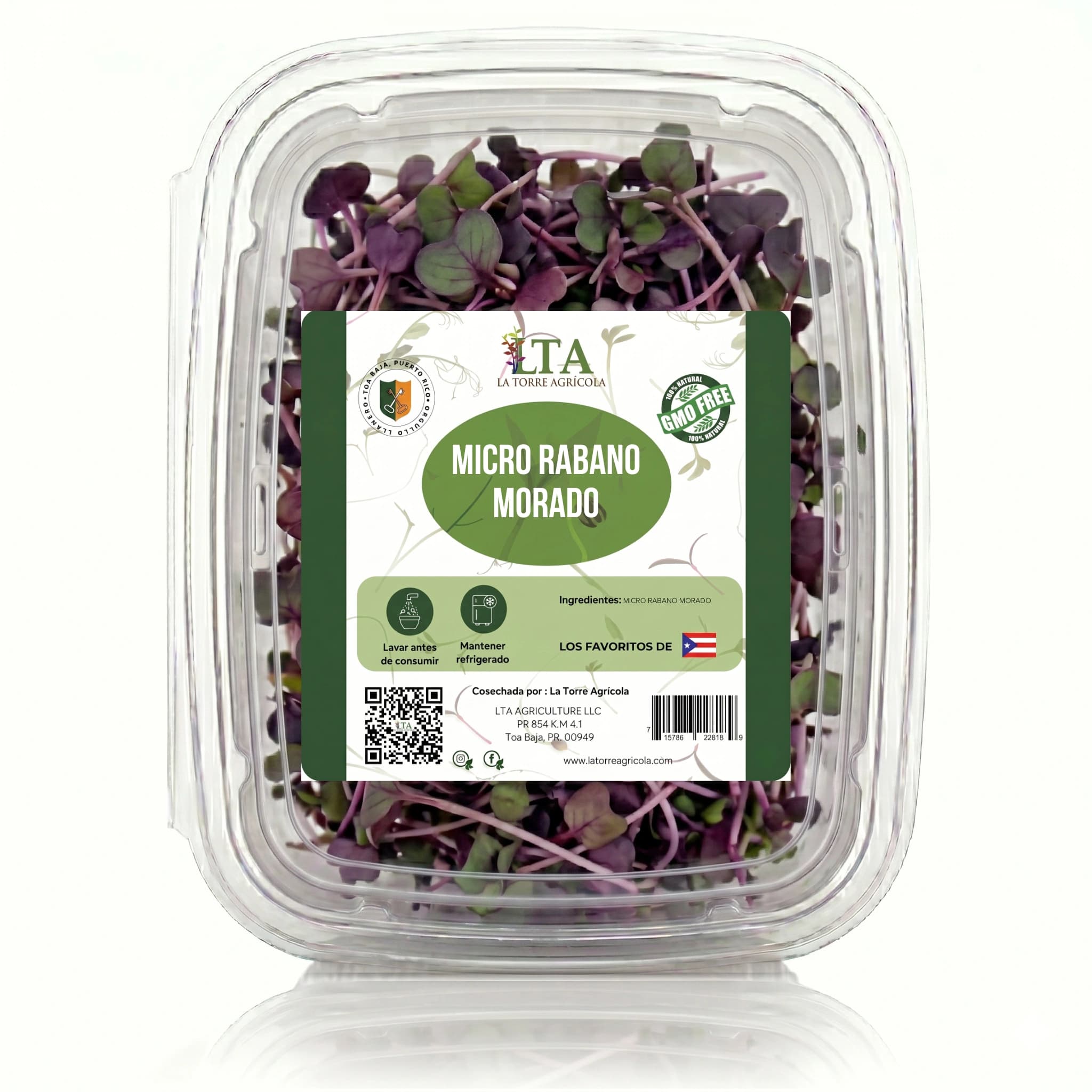 Micro Rábano Morado (Purple Radish)