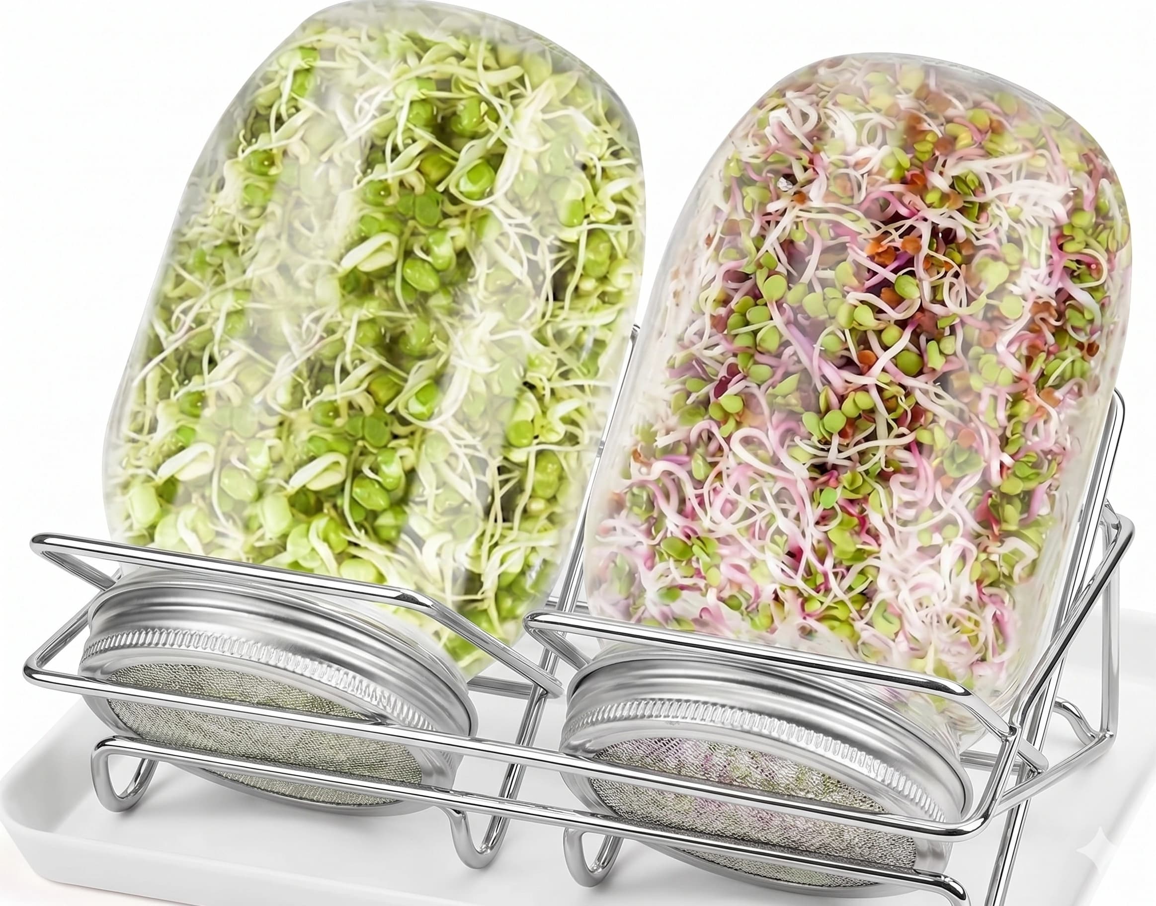 Kit para germinación