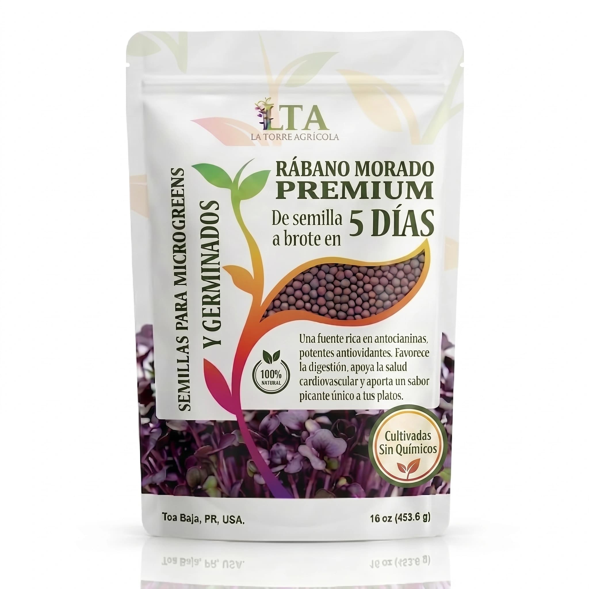 Rábano Morado Premium