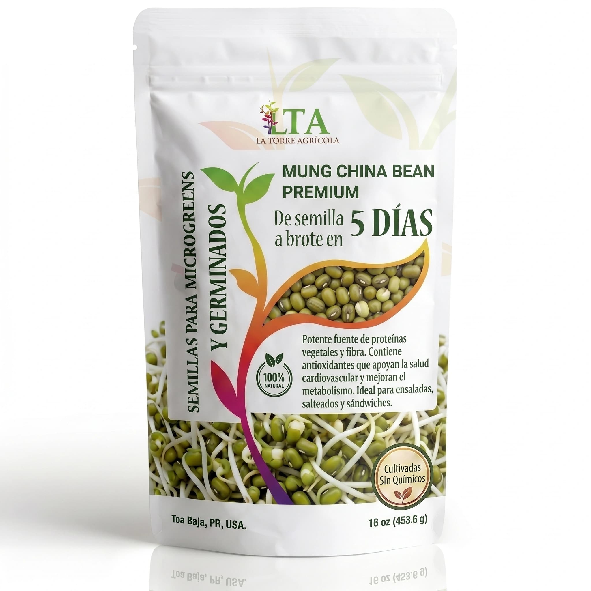 Mung China Bean Premium