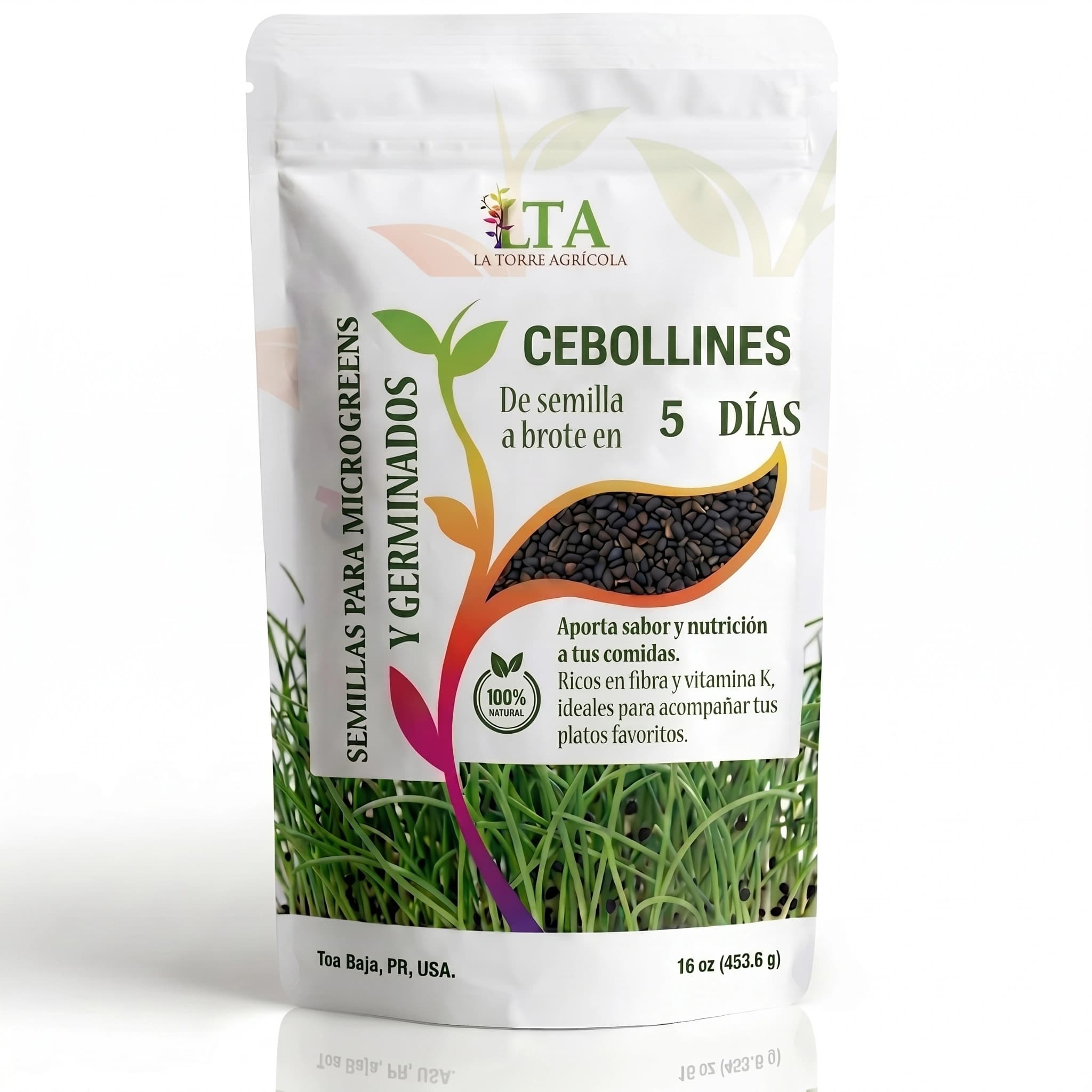Cebollines