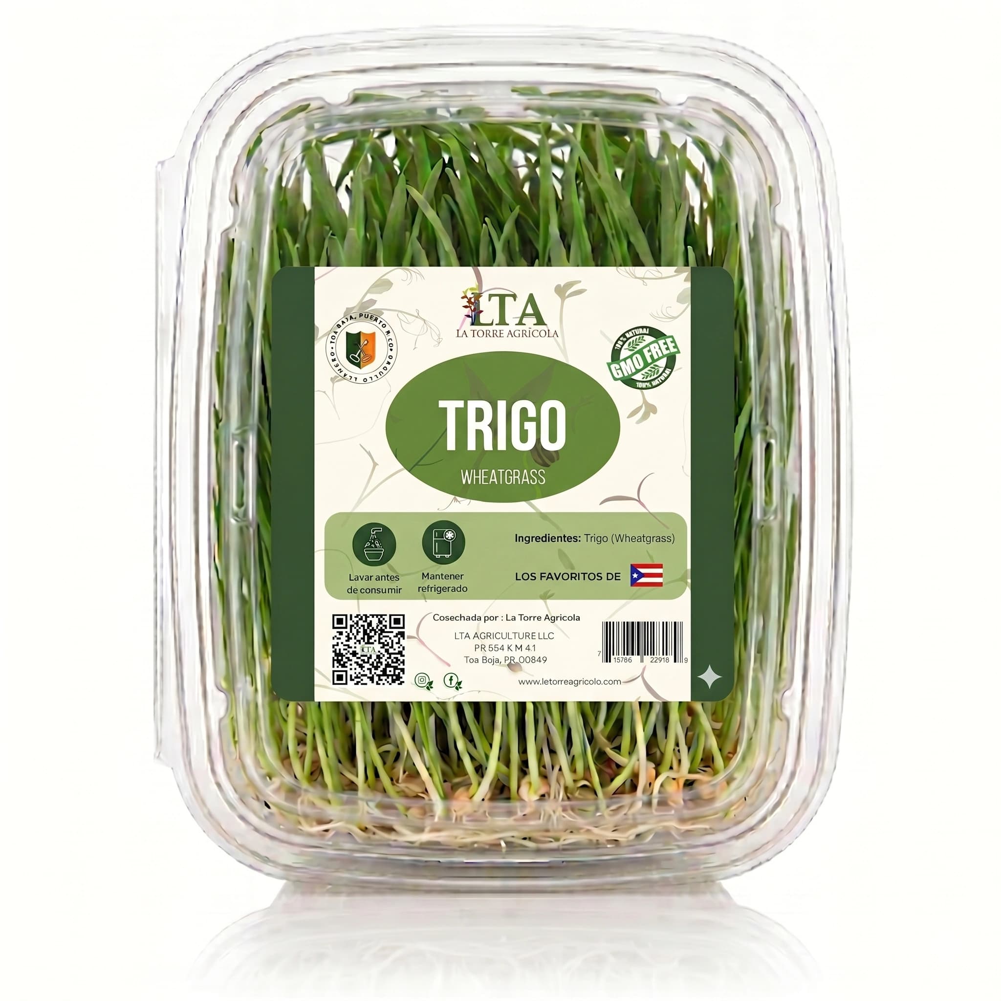 Pasto de Trigo (Wheatgrass)