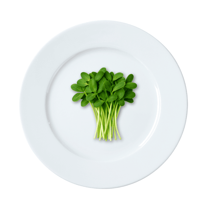 Micro Girasol (Envase Grande)